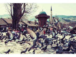 Sarajevo kroz pogled sočiva
